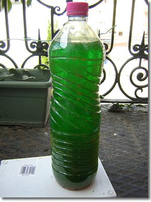 perchlo_vert.jpg perchlo_vert.jpg