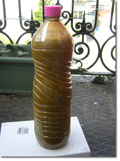 perchlo_orange.jpg perchlo_orange.jpg