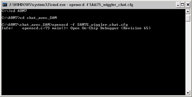 chat_sam71.gif chat_sam71.gif