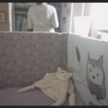 raspberry_webcam.png